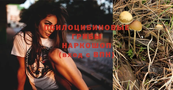 apvp Верхний Тагил