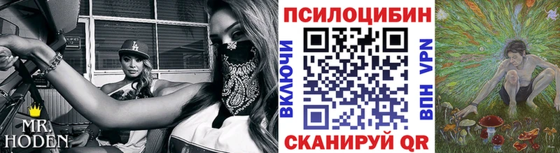 Купить где  Россошь  Псилоцибиновые грибы Magic Shrooms 